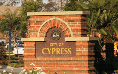 cypress_2